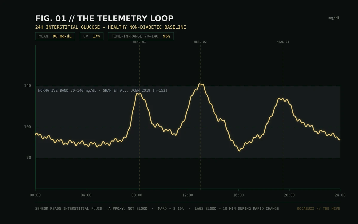 FIG. 01 // THE TELEMETRY LOOP — A HEALTHY 24H GLUCOSE TRACE READ AGAINST ITS NORMATIVE BAND. THE SENSOR MEASURES THE SHAPE OF YOUR DAY, NOT YOUR LIFESPAN.