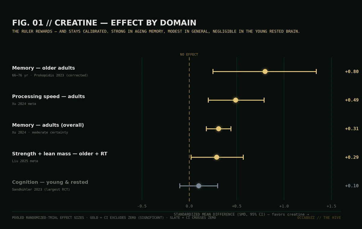 FIG. 01 // CREATINE — EFFECT BY DOMAIN. POOLED RANDOMIZED-TRIAL EFFECT SIZES: STRONG IN AGING MEMORY, MODEST IN GENERAL, NEGLIGIBLE IN THE YOUNG RESTED BRAIN.
